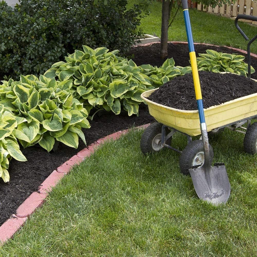 Tree and Shrub Trimming